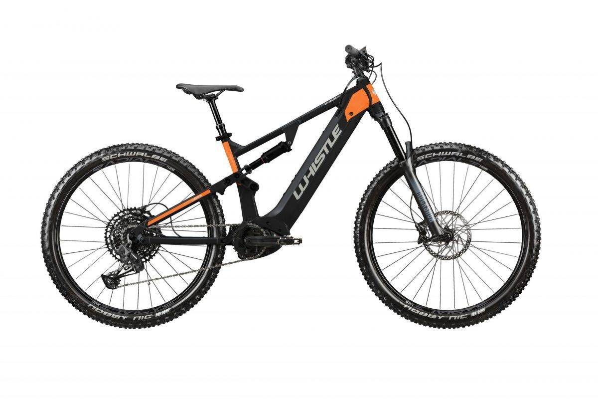 Atala B-Rush A8.1 1